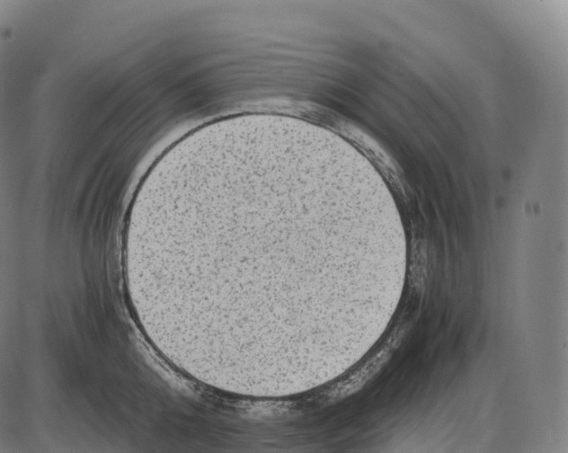 X0000084000808200703161647