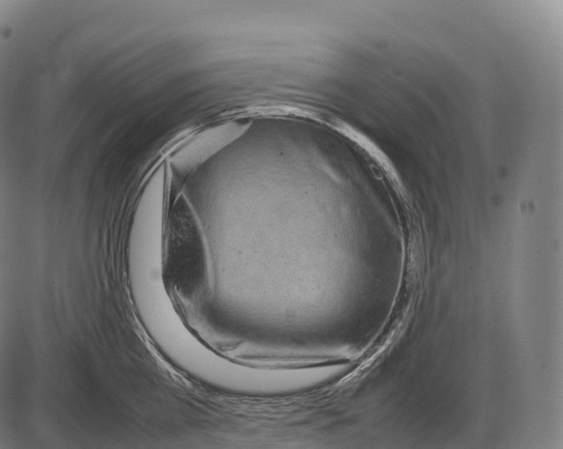 X0000084000809200703161647