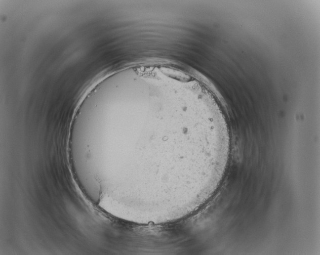 X0000084000810200703161647