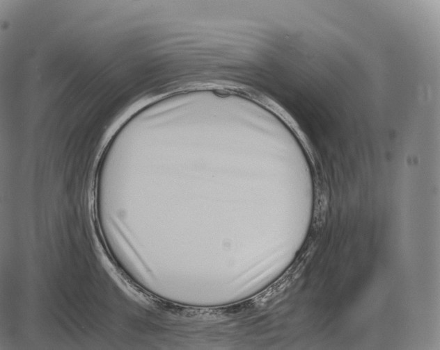 X0000084000811200703161647