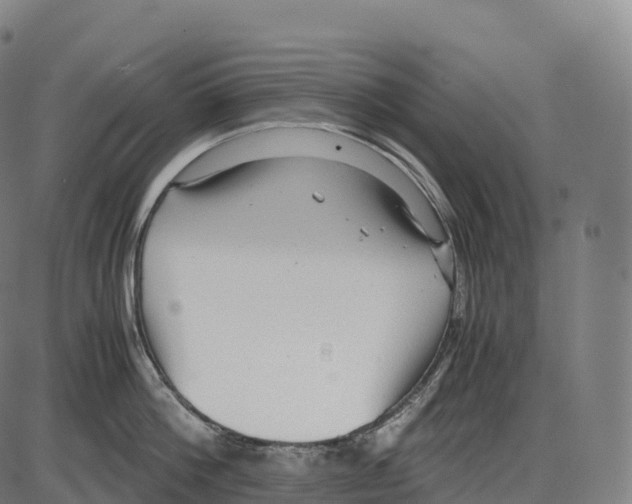 X0000084000812200703161647