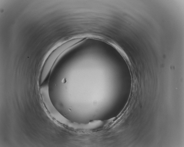 X0000084000813200703161647