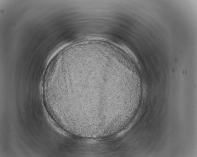 X0000084000814200703161647