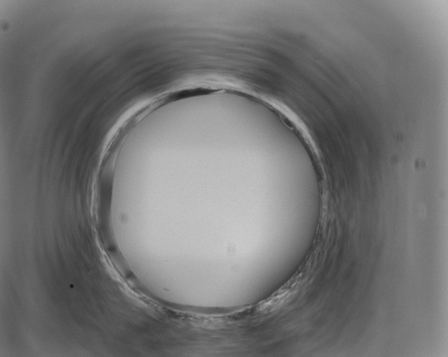 X0000084000815200703161647