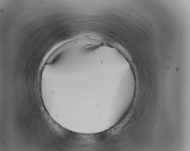 X0000084000816200703161647