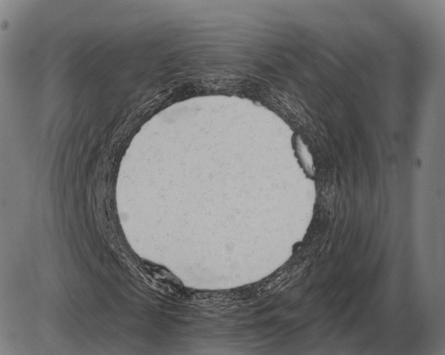 X0000084000817200703161646