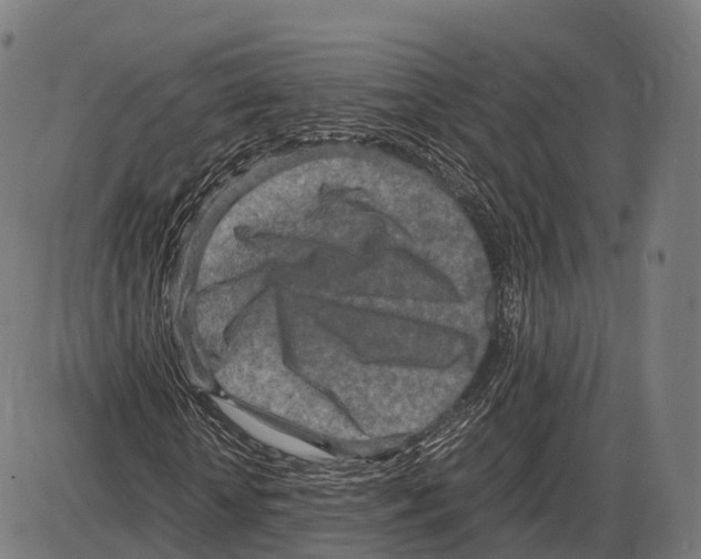 X0000084000818200703161646