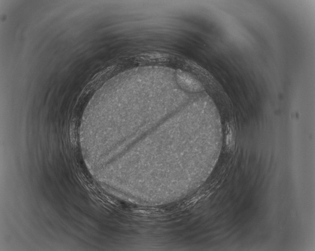 X0000084000819200703161646