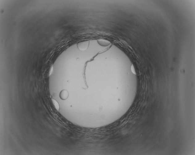 X0000084000820200703161646