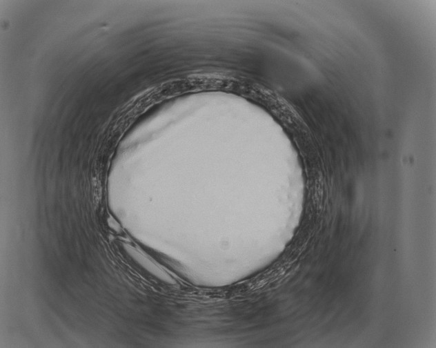 X0000084000821200703161646