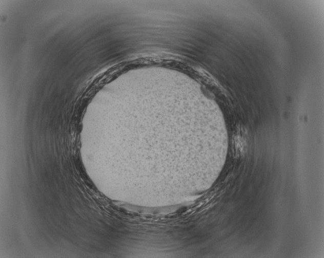 X0000084000822200703161646