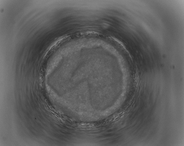 X0000084000823200703161646