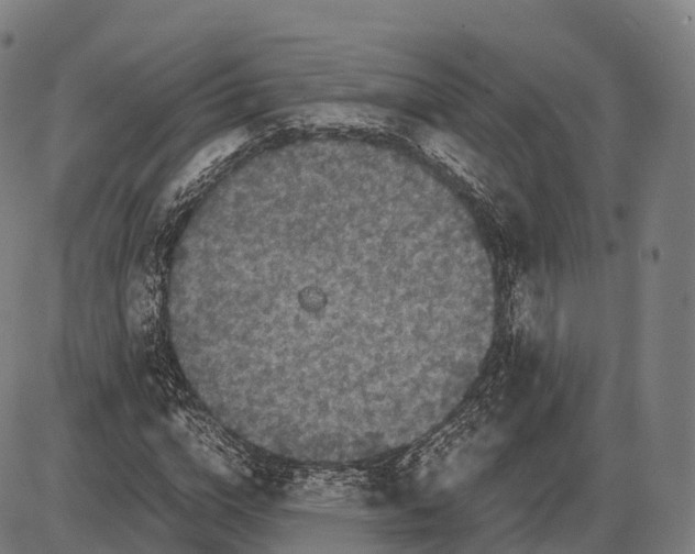 X0000084000824200703161646