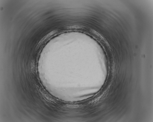 X0000084000825200703161646