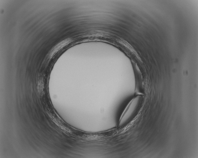 X0000084000826200703161646