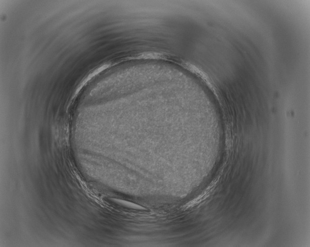 X0000084000827200703161646