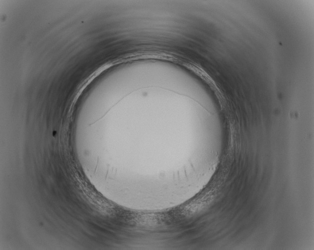 X0000084000828200703161646