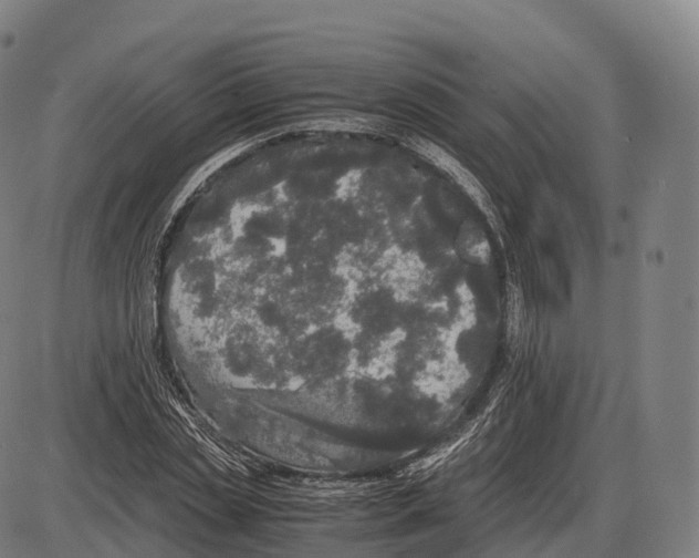 X0000084000829200703161646