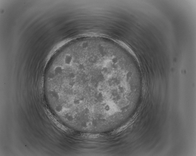 X0000084000831200703161646