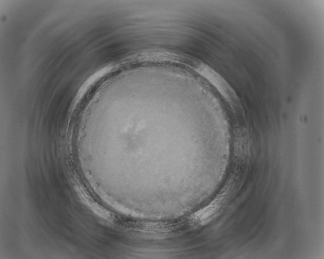 X0000084000832200703161646