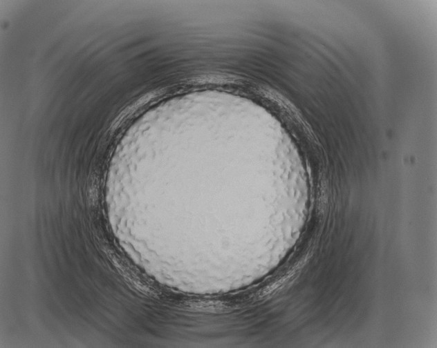 X0000084000833200703161646