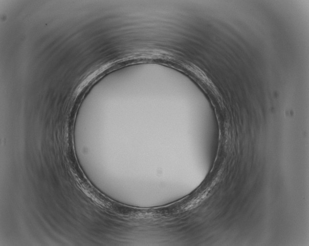 X0000084000834200703161646