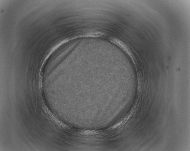 X0000084000835200703161646