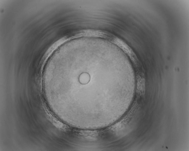 X0000084000836200703161646