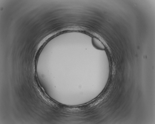 X0000084000837200703161646