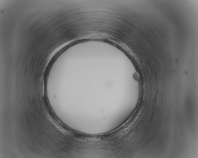 X0000084000838200703161646