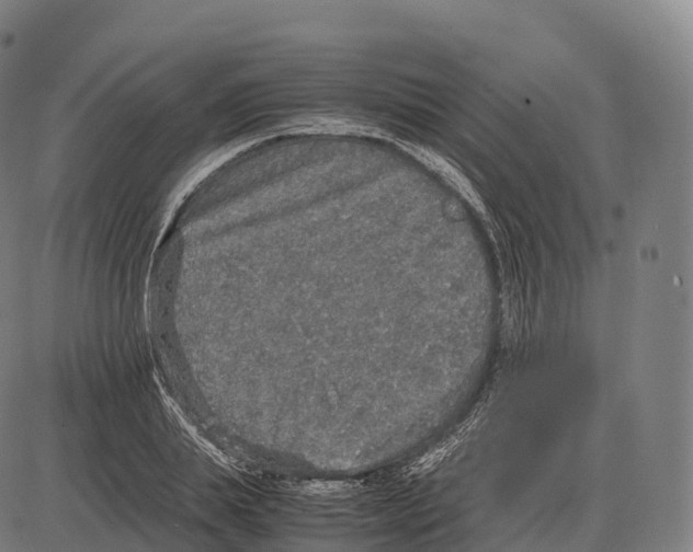 X0000084000839200703161646