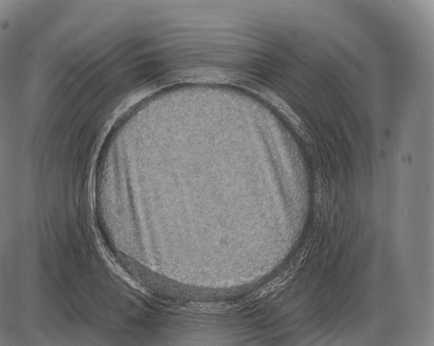 X0000084000840200703161646