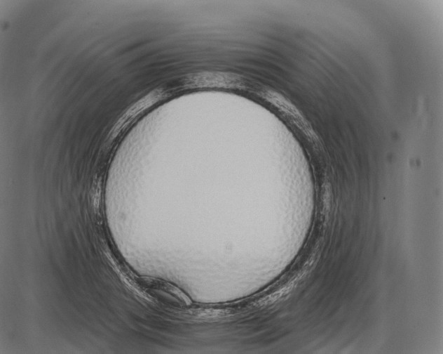 X0000084000841200703161646