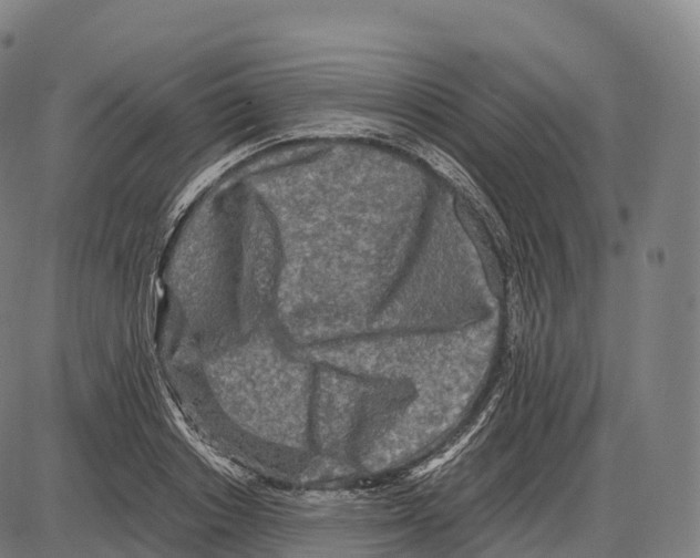 X0000084000842200703161646