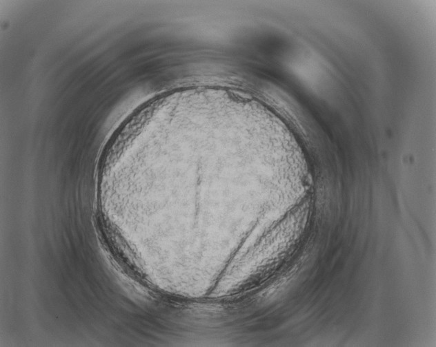 X0000084000844200703161646