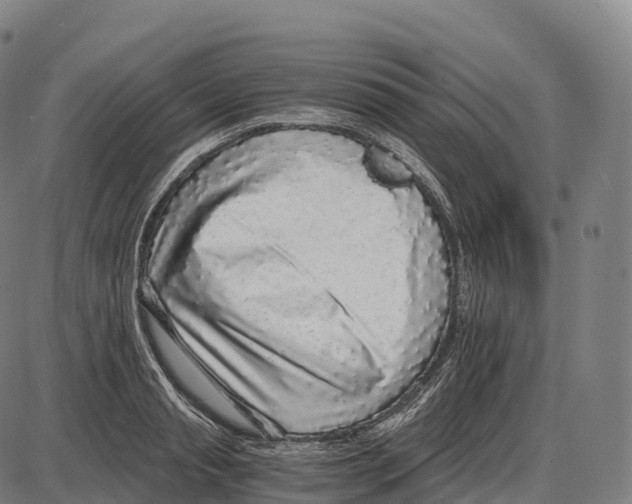 X0000084000845200703161646