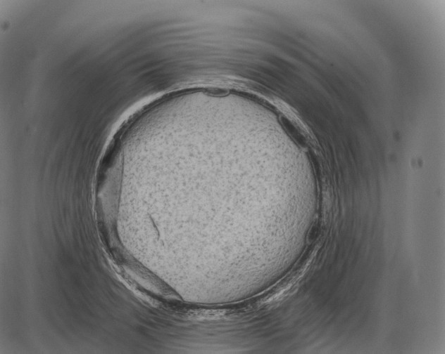 X0000084000846200703161646