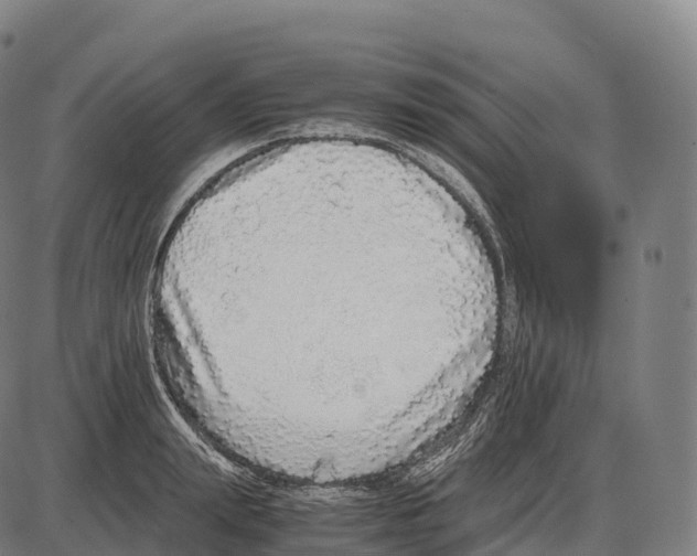 X0000084000847200703161646