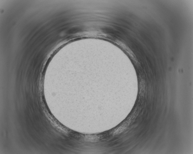 X0000084000848200703161646