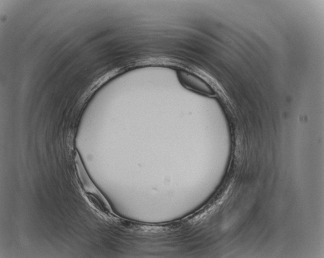 X0000084000849200703161646