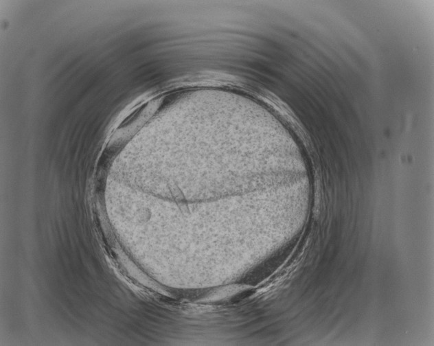 X0000084000850200703161646