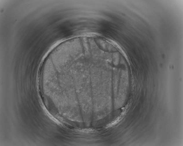 X0000084000851200703161646