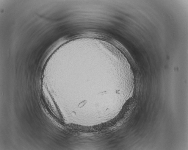 X0000084000852200703161646