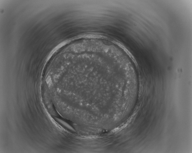 X0000084000853200703161646