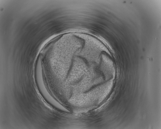 X0000084000854200703161646