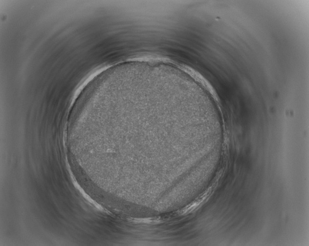 X0000084000855200703161646