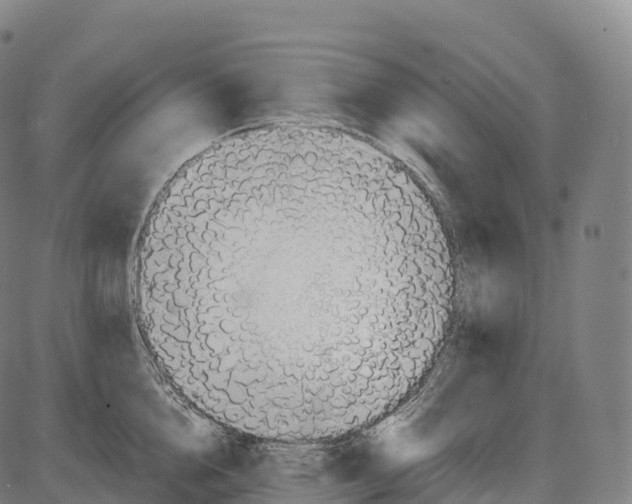 X0000084000856200703161646