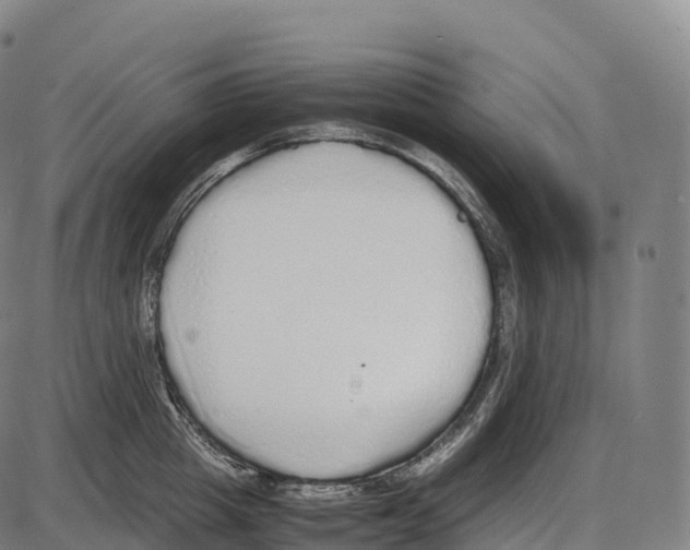 X0000084000857200703161646