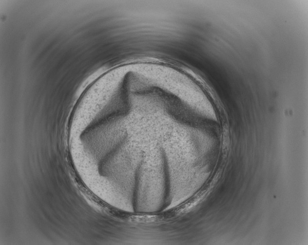 X0000084000858200703161646