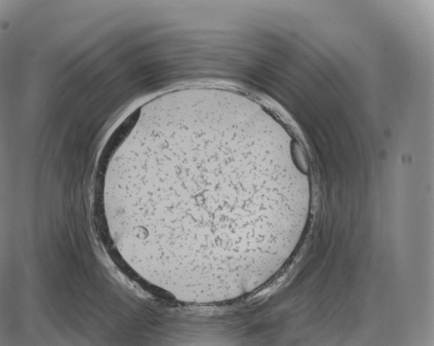 X0000084000860200703161646